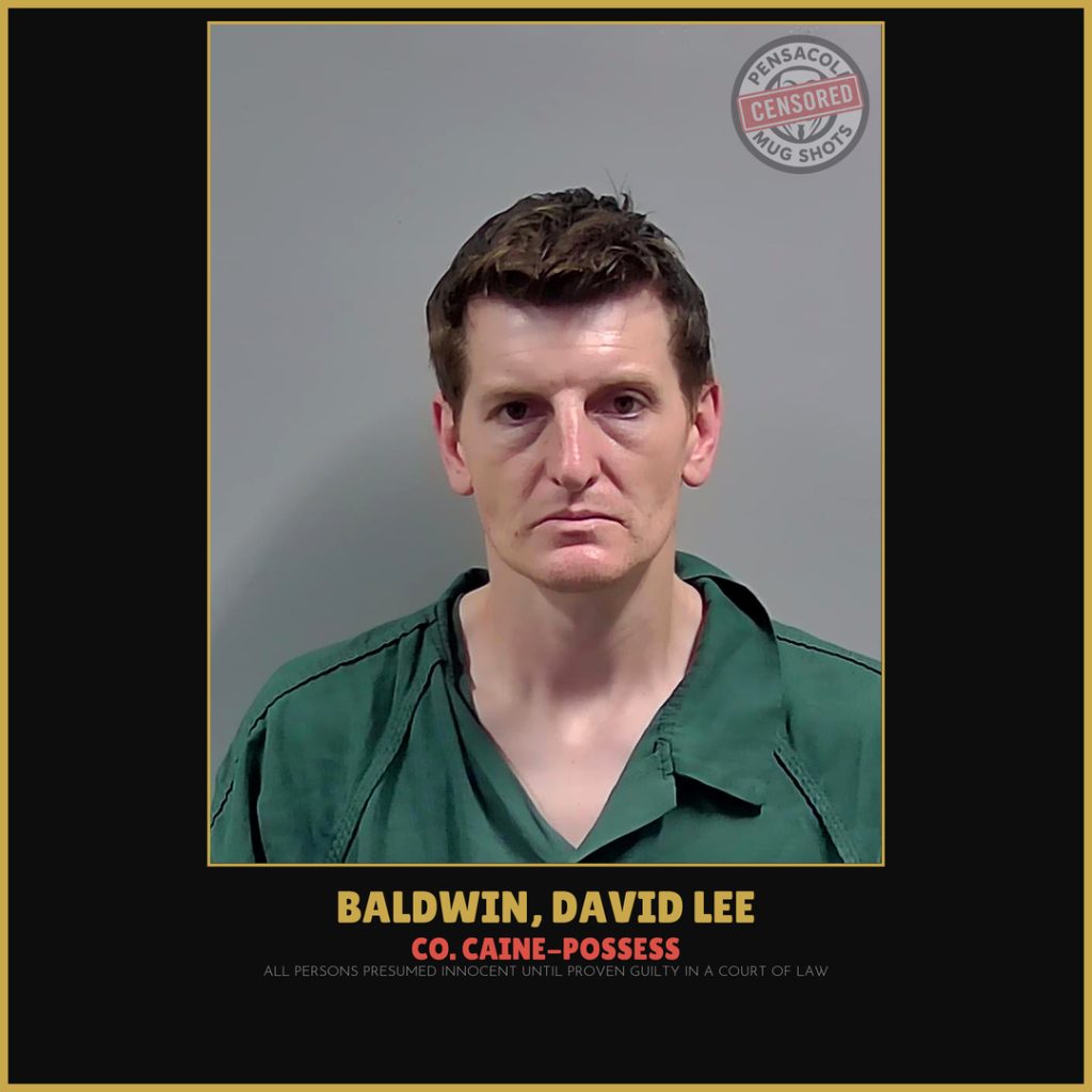 David Lee Baldwin