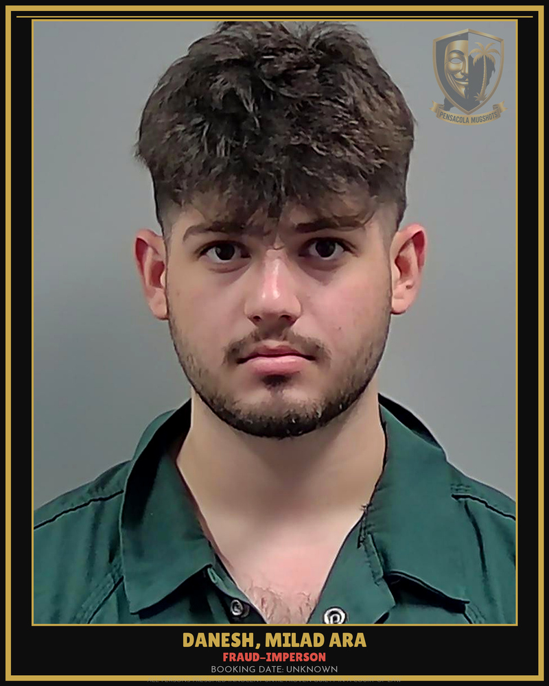 Milad Ara Danesh