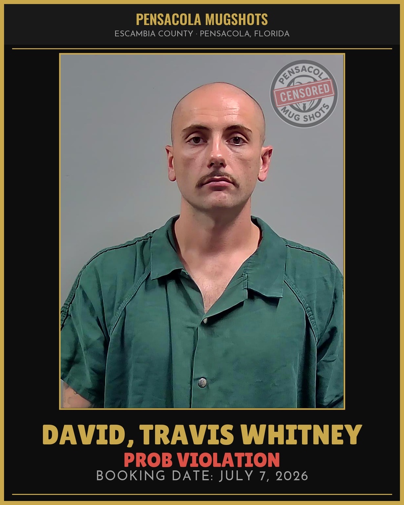 Travis Whitney David