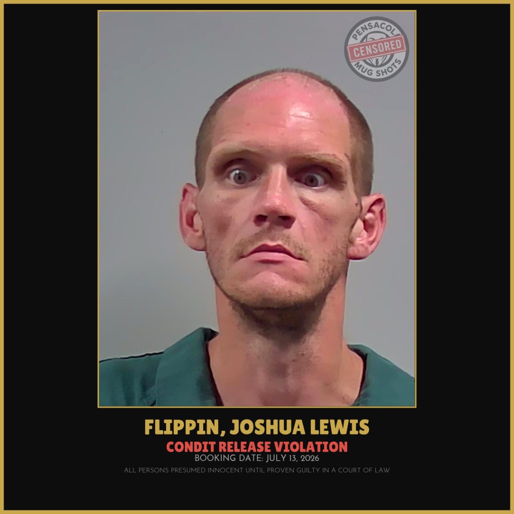 Joshua Lewis Flippin
