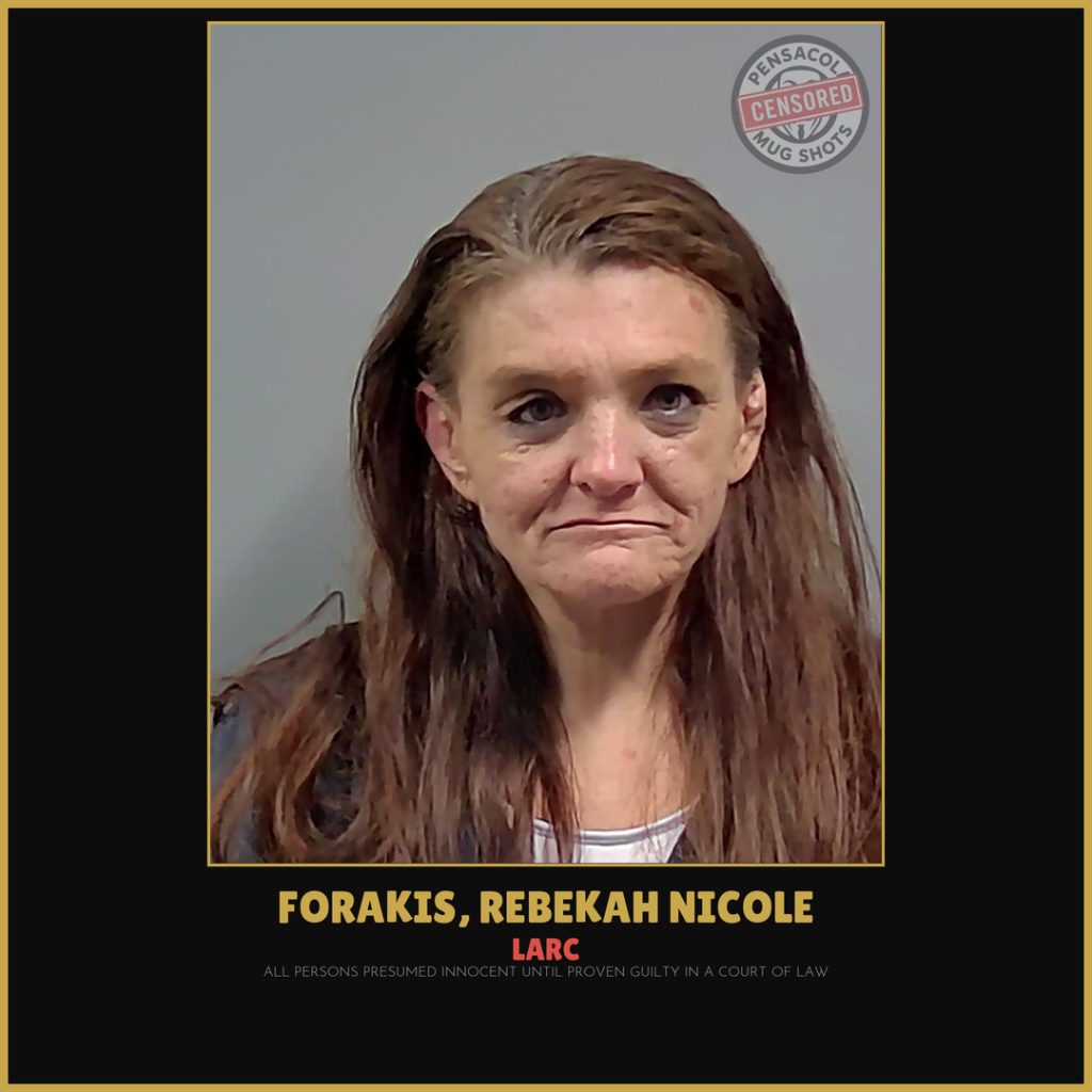 Rebekah Nicole Forakis