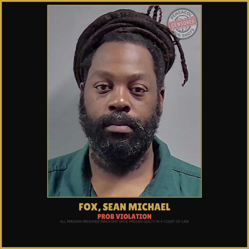 Sean Michael Fox