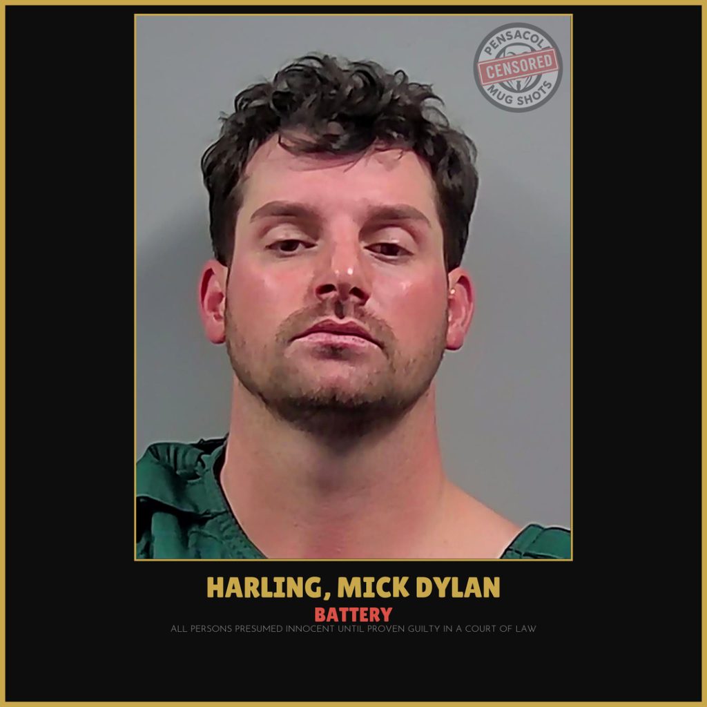 Mick Dylan Harling