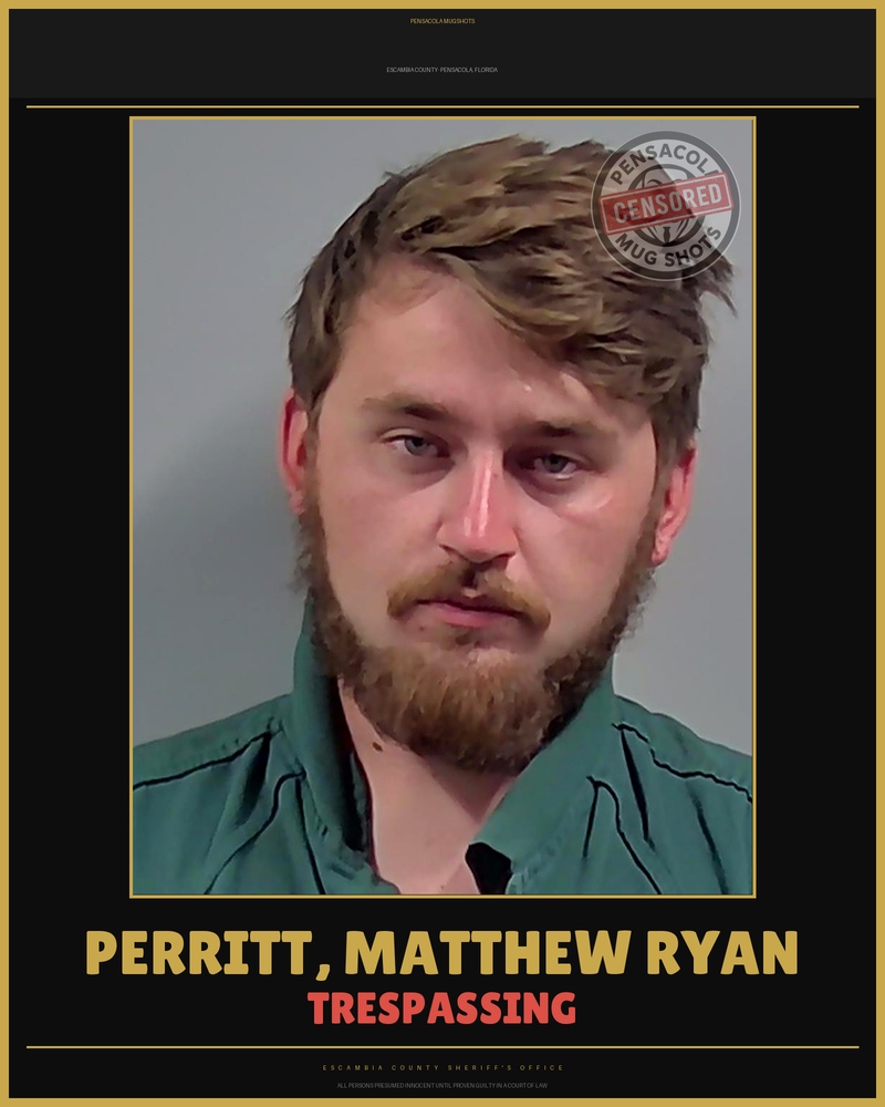 Matthew Ryan Perritt