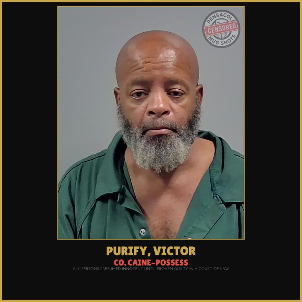 Victor Purify