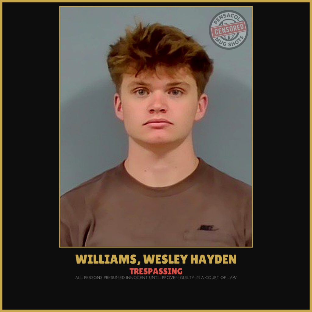 Wesley Hayden Williams