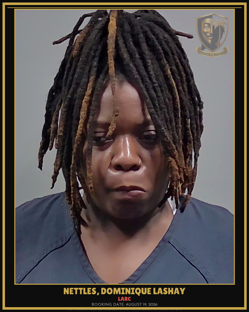 Dominique Lashay Nettles