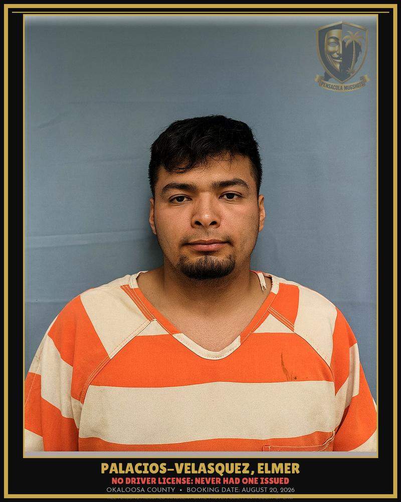 Elmer Palacios-Velasquez